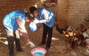 آغاز واکسیناسیون رایگان ۶۰ هزار قطعه طیور بومی در شهرستان خوشاب آغاز واکسیناسیون رایگان ۶۰ هزار قطعه طیور بومی در شهرستان خوشاب